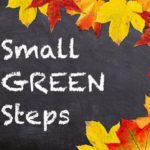 The Small GREEN Steps Program